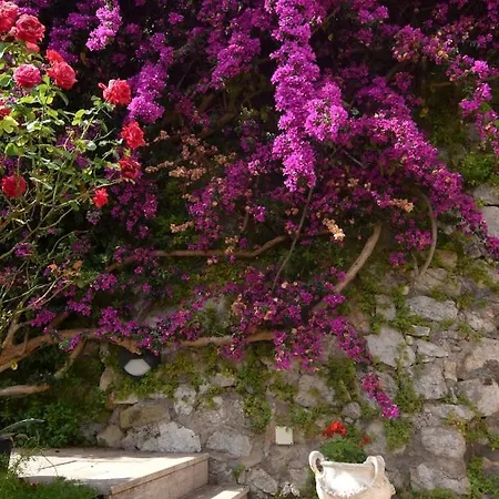 Relais * Massa Lubrense